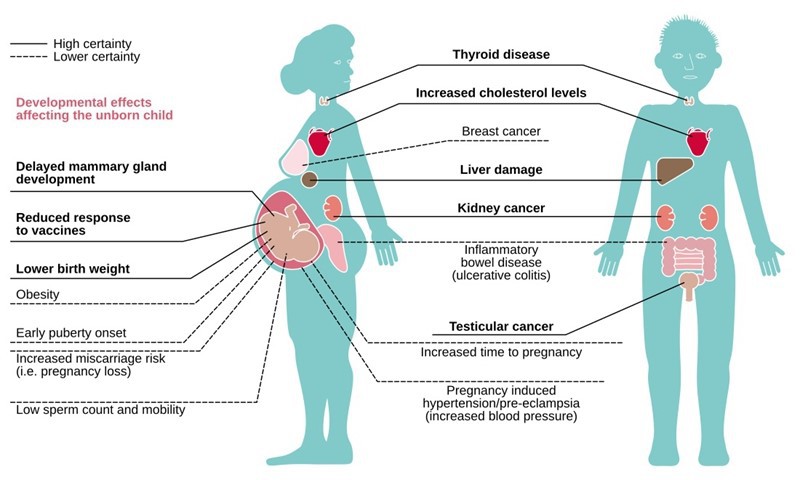 Diseases associated with PFAS Diseases associated with PFAS